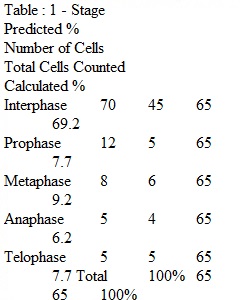 Unit 4 Experiment